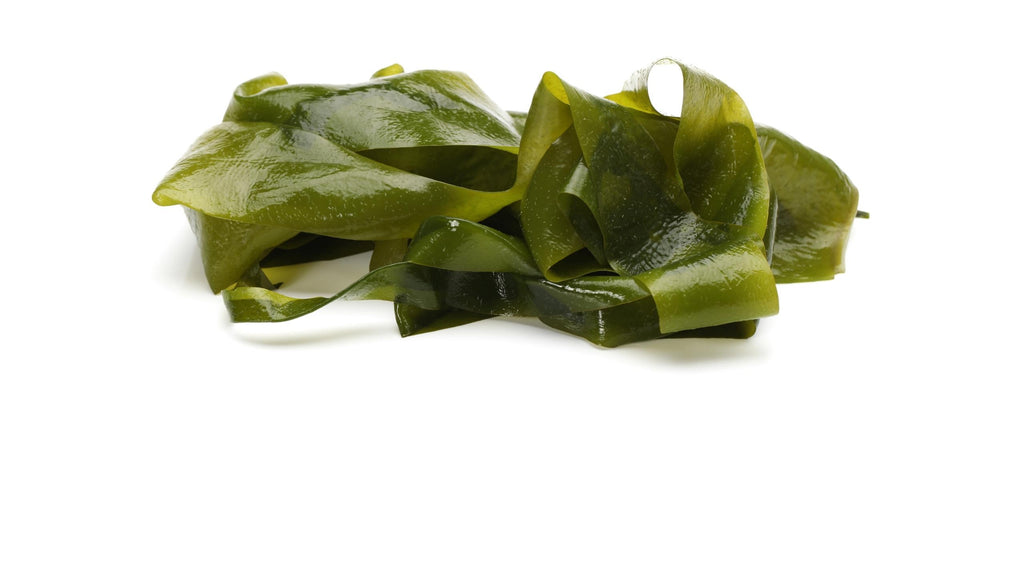 Sea Kelp is a seaweed that’s one of the best natural sources of Iodine, an essential nutrient clinically proven to protect and maintain cognitive function and regulate energy levels.